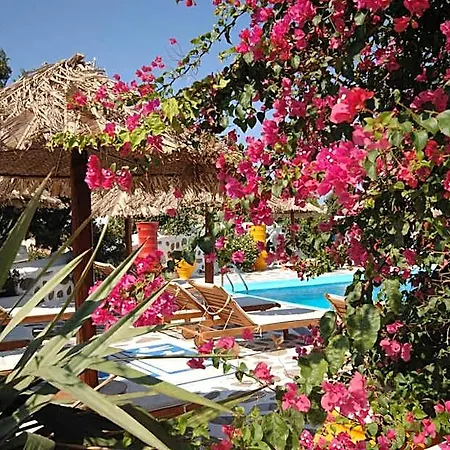 Hotel Sun Of Mykonos 3*